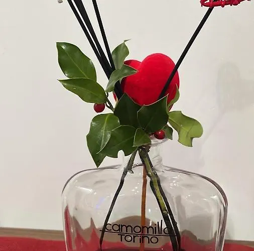 Due Cuori Bed & Breakfast